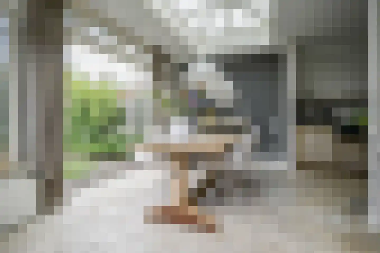 Planciusdreef 23 Bergschenhoek thumbnail 24