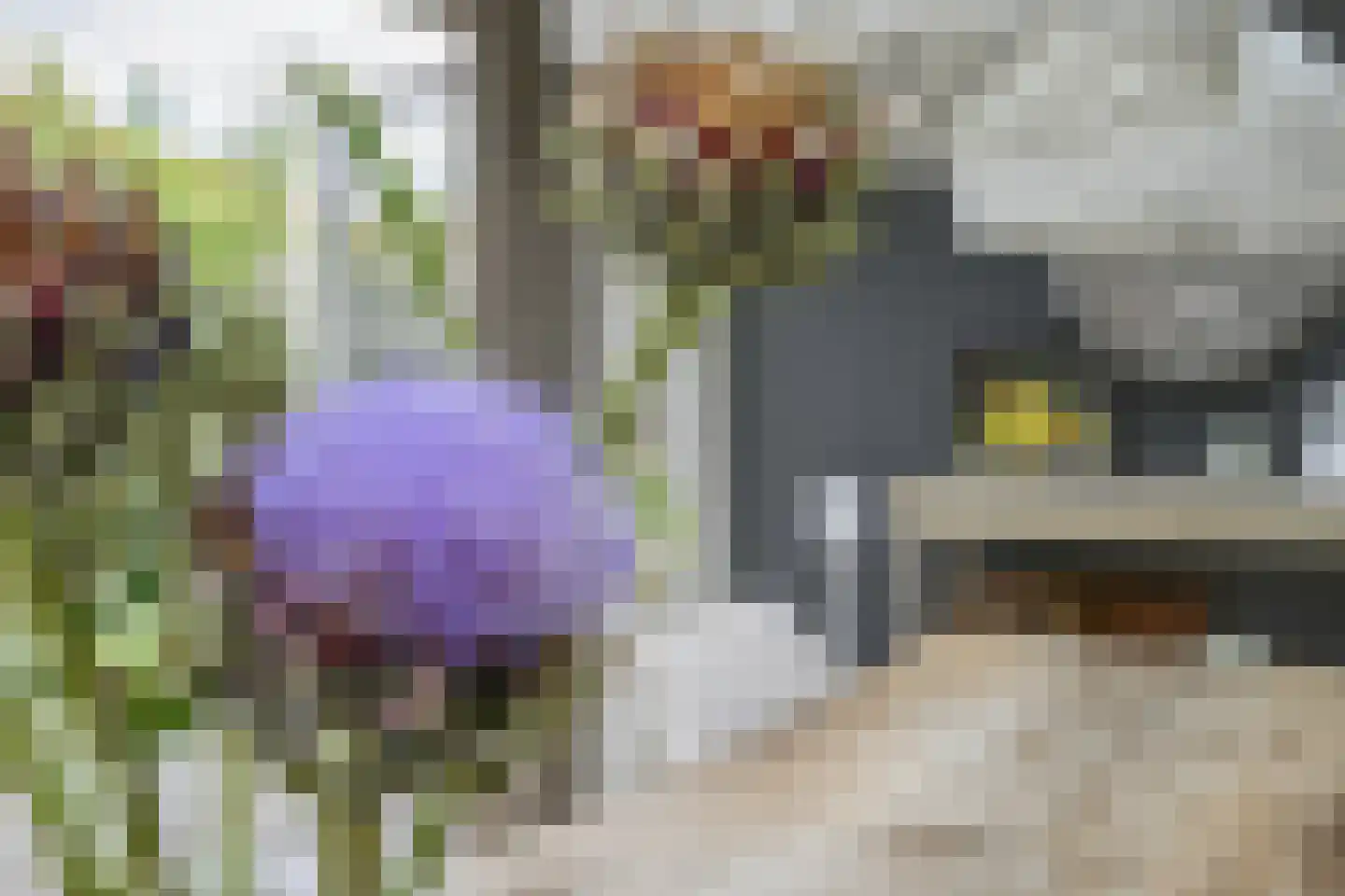 Planciusdreef 23 Bergschenhoek thumbnail 25