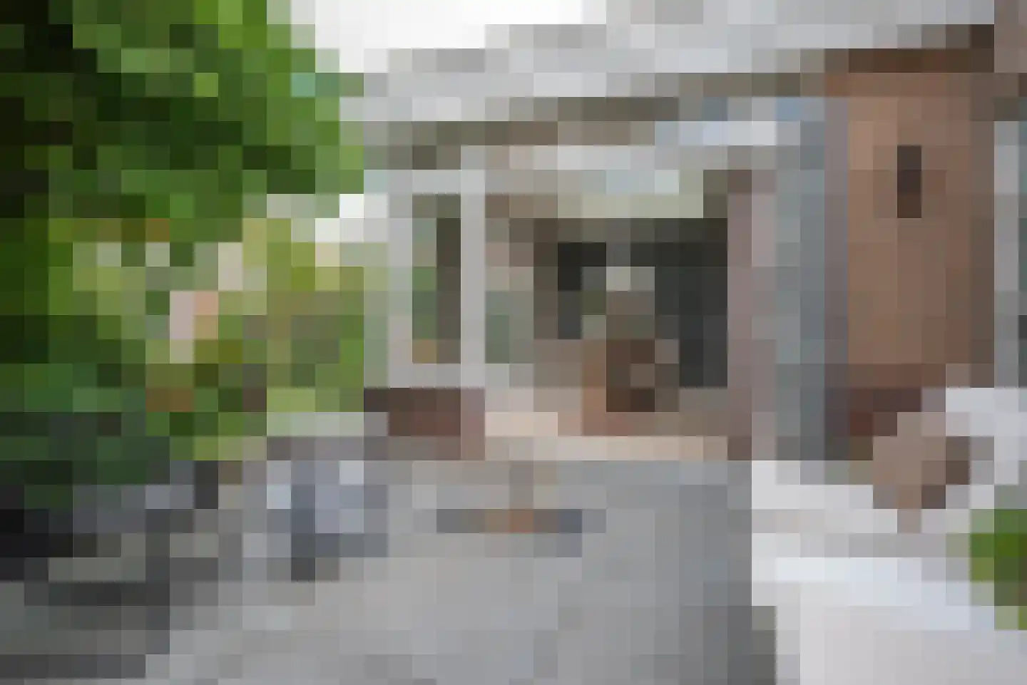 Planciusdreef 23 Bergschenhoek thumbnail 27
