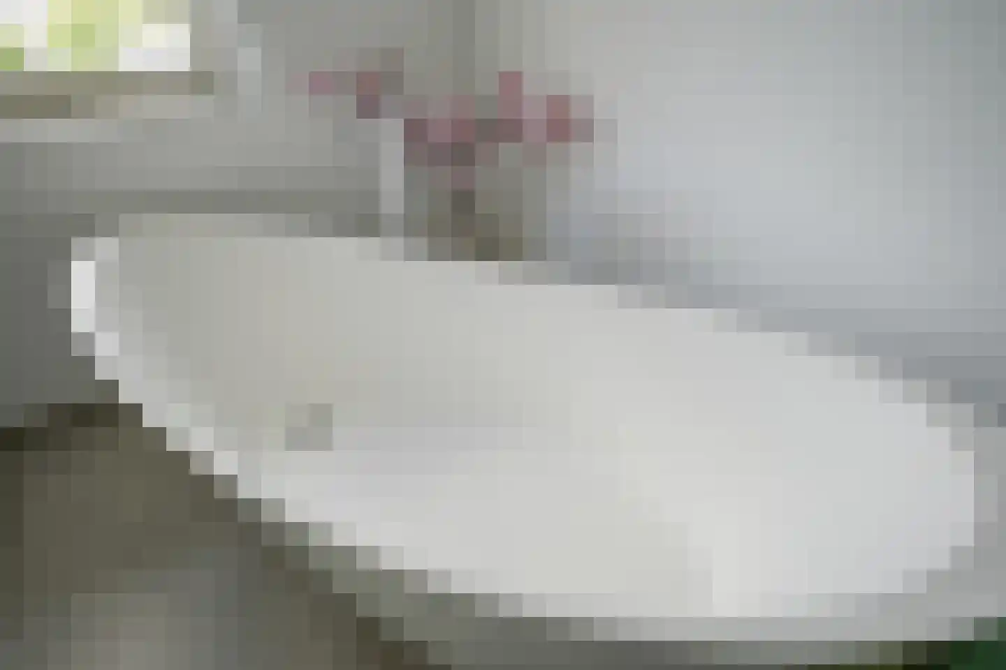 Planciusdreef 23 Bergschenhoek thumbnail 31