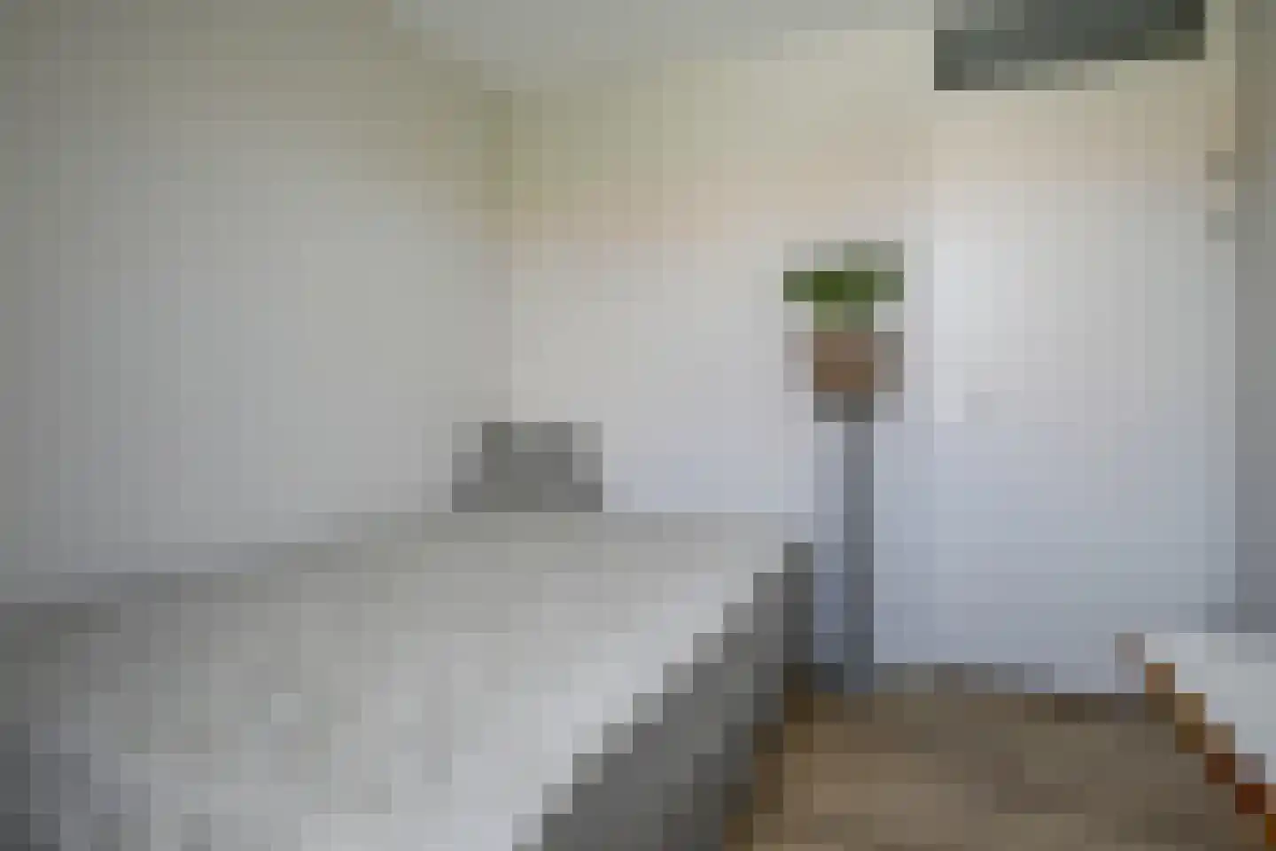 Planciusdreef 23 Bergschenhoek thumbnail 34