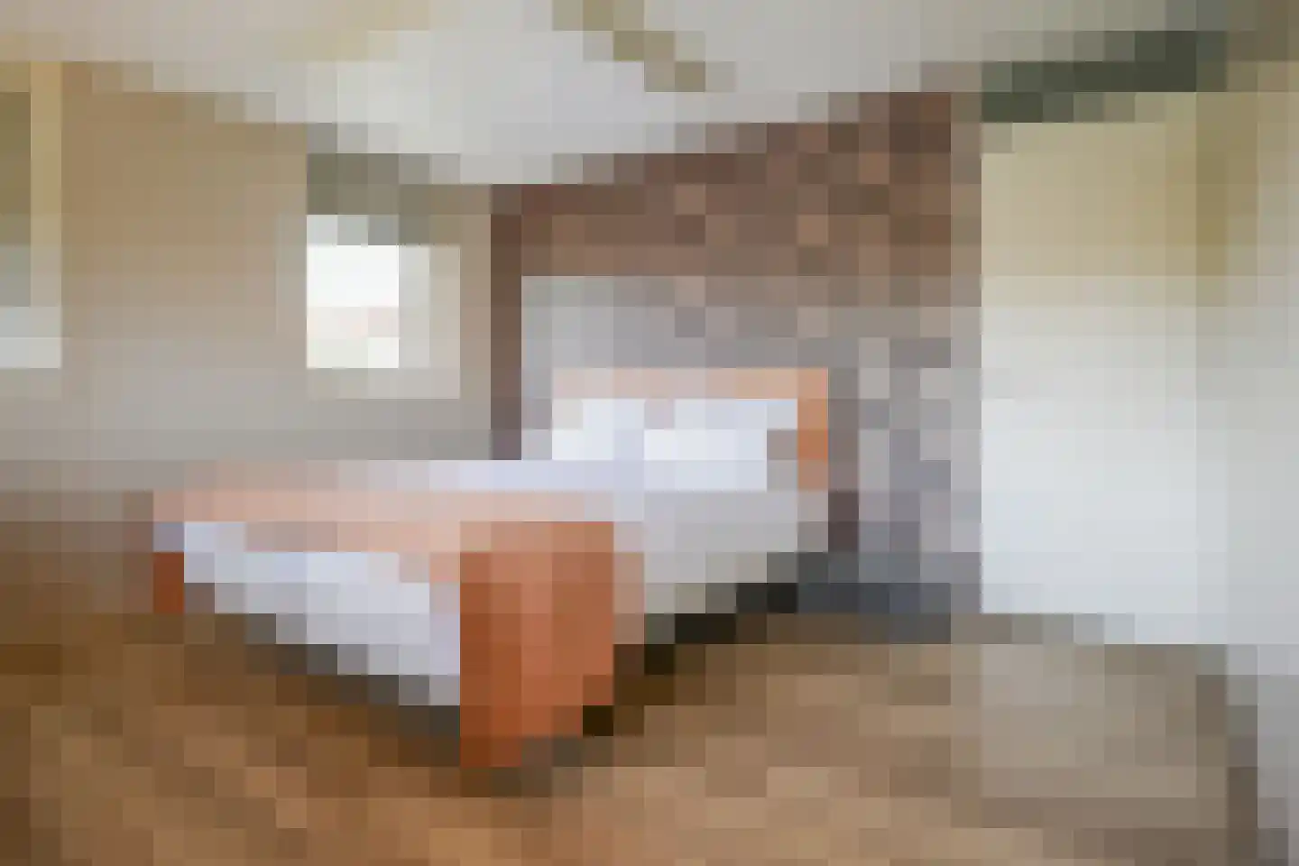 Planciusdreef 23 Bergschenhoek thumbnail 37