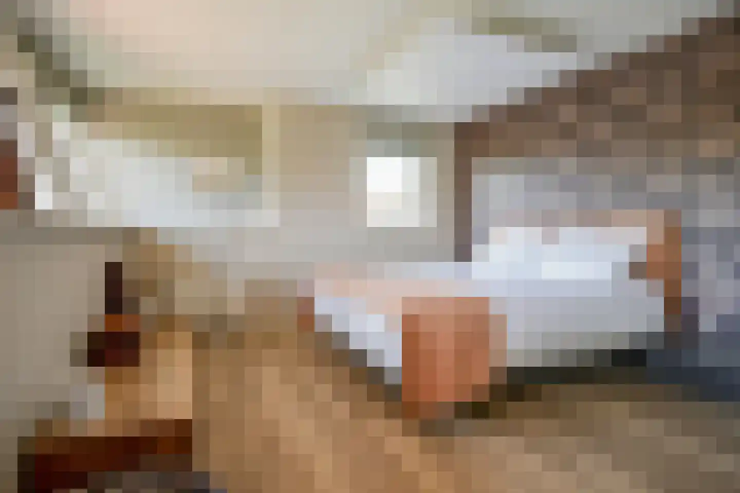 Planciusdreef 23 Bergschenhoek thumbnail 38
