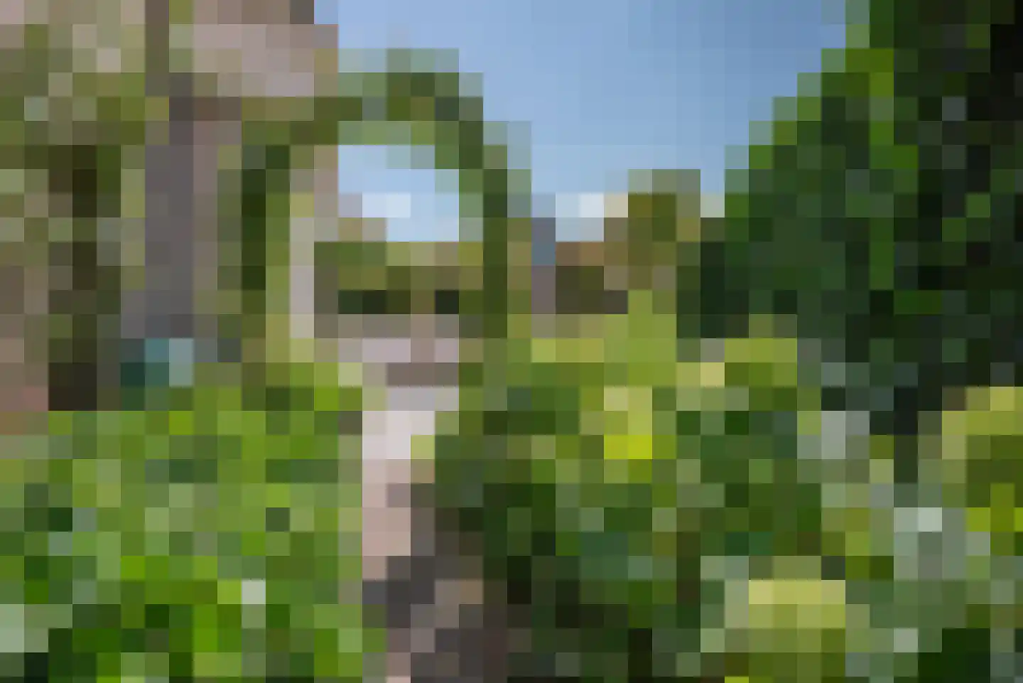 Planciusdreef 23 Bergschenhoek thumbnail 42