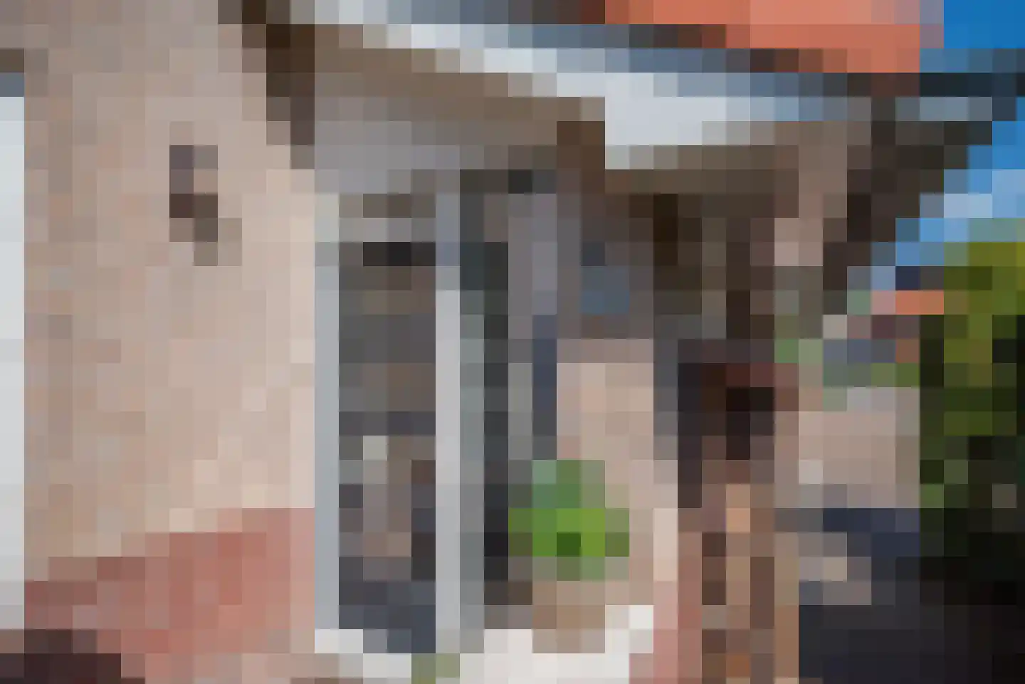 Planciusdreef 23 Bergschenhoek thumbnail 7