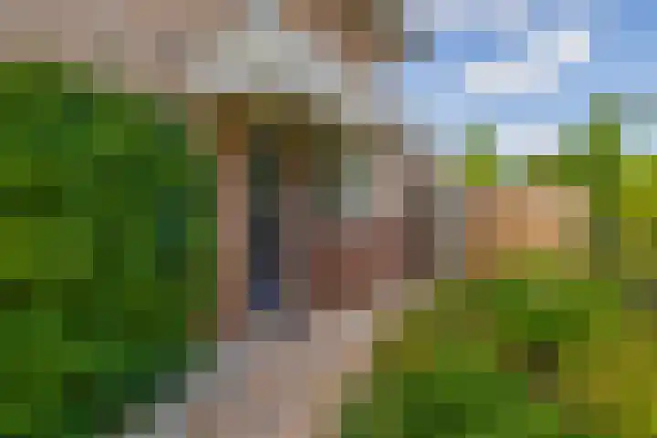 Planciusdreef 43 Bergschenhoek thumbnail 12