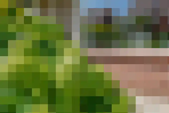 Planciusdreef 43 Bergschenhoek thumbnail 15