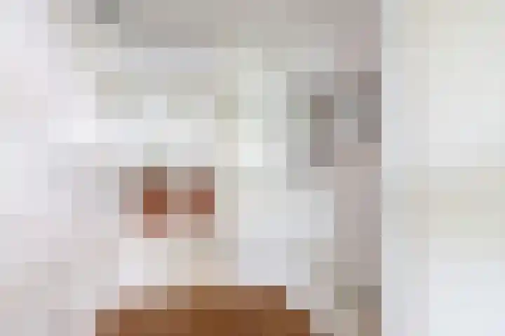 Planciusdreef 43 Bergschenhoek thumbnail 16