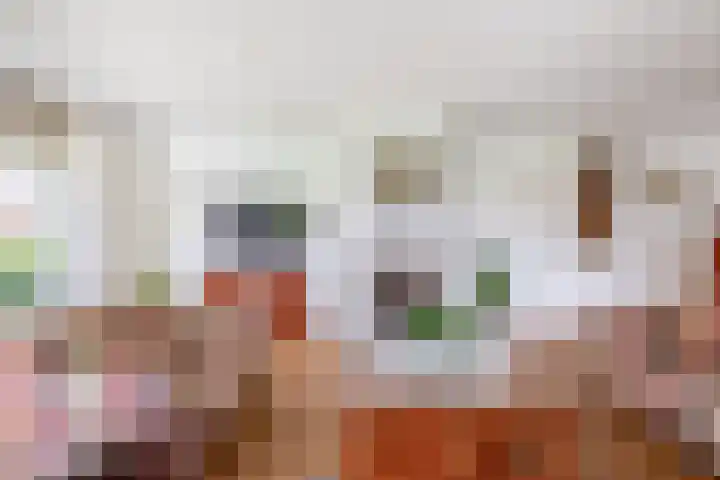 Planciusdreef 43 Bergschenhoek thumbnail 21