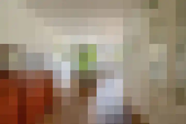 Planciusdreef 43 Bergschenhoek thumbnail 23