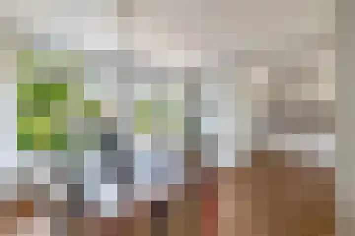 Planciusdreef 43 Bergschenhoek thumbnail 24