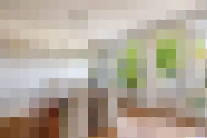 Planciusdreef 43 Bergschenhoek thumbnail 25