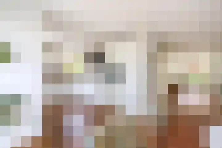 Planciusdreef 43 Bergschenhoek thumbnail 26