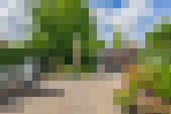 Planciusdreef 43 Bergschenhoek thumbnail 29