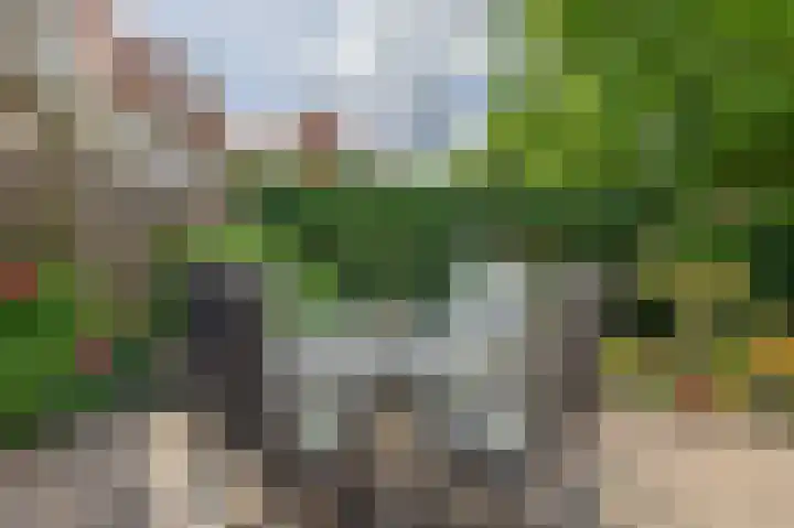 Planciusdreef 43 Bergschenhoek thumbnail 30