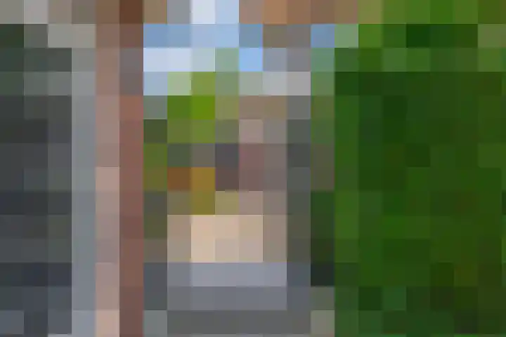 Planciusdreef 43 Bergschenhoek thumbnail 34