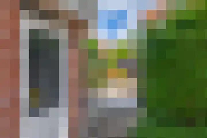 Planciusdreef 43 Bergschenhoek thumbnail 35