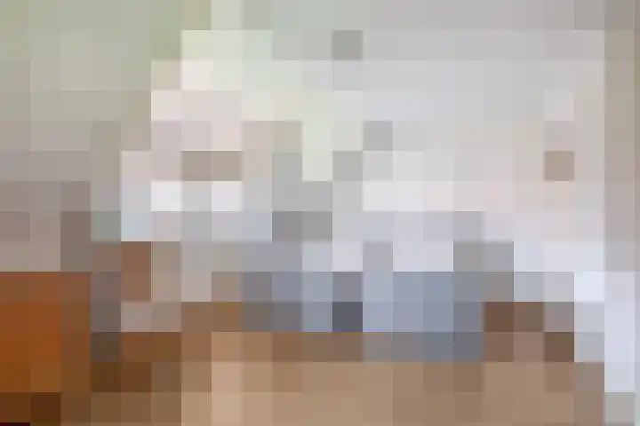 Planciusdreef 43 Bergschenhoek thumbnail 39