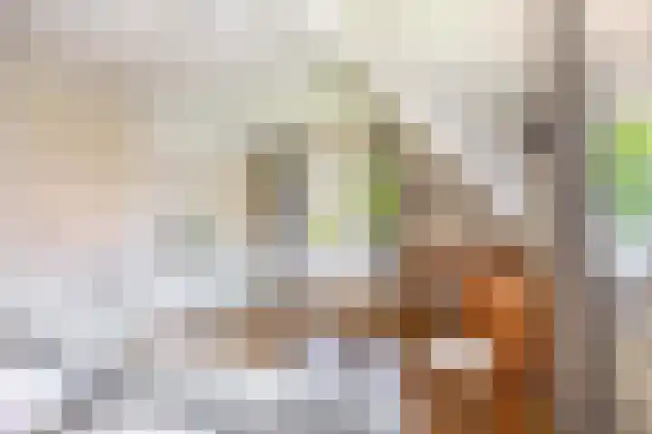 Planciusdreef 43 Bergschenhoek thumbnail 40