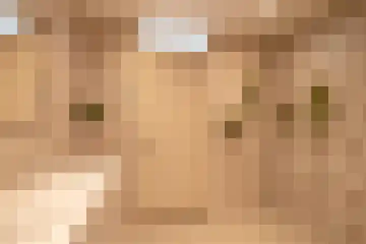 Planciusdreef 43 Bergschenhoek thumbnail 42