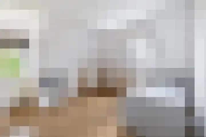 Planciusdreef 43 Bergschenhoek thumbnail 44