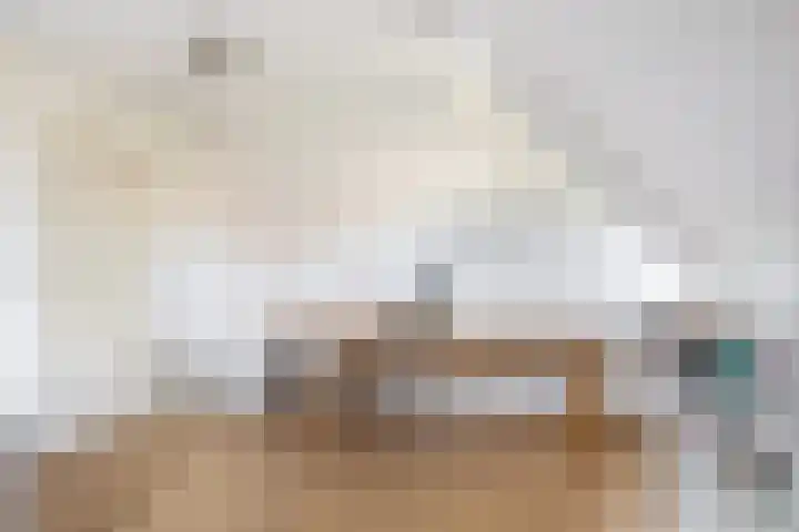 Planciusdreef 43 Bergschenhoek thumbnail 50