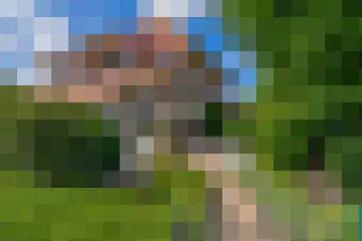 Planciusdreef 43 Bergschenhoek thumbnail 6