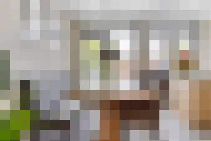 Planciusdreef 51 Bergschenhoek thumbnail 11