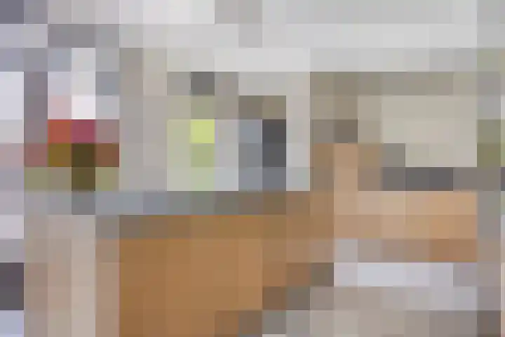 Planciusdreef 51 Bergschenhoek thumbnail 12