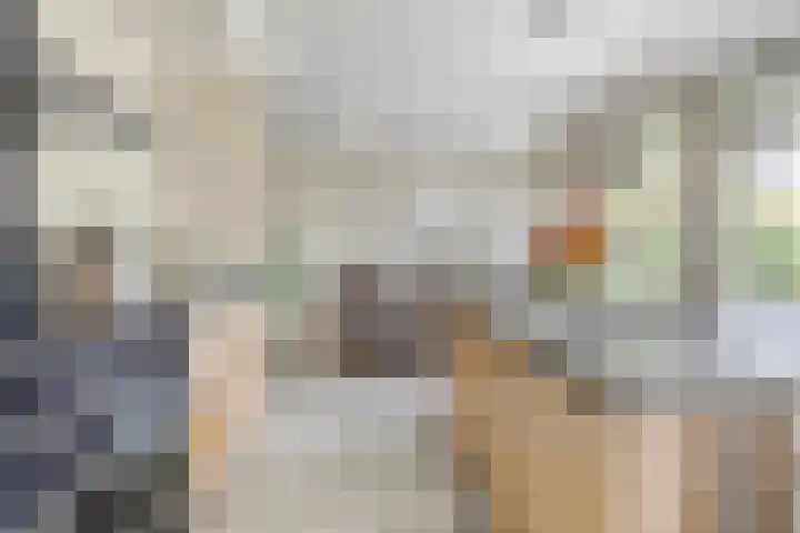Planciusdreef 51 Bergschenhoek thumbnail 13