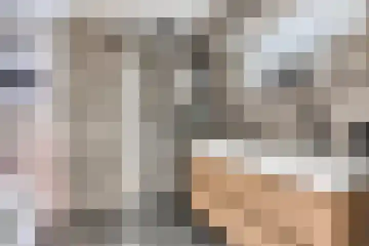 Planciusdreef 51 Bergschenhoek thumbnail 23
