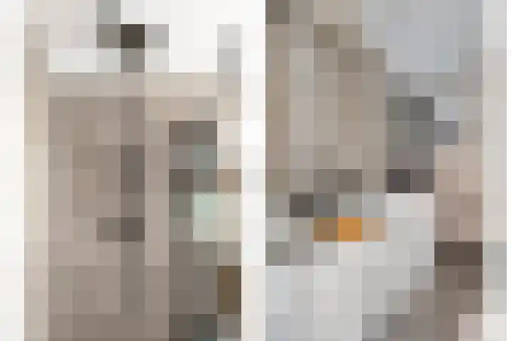 Planciusdreef 51 Bergschenhoek thumbnail 24