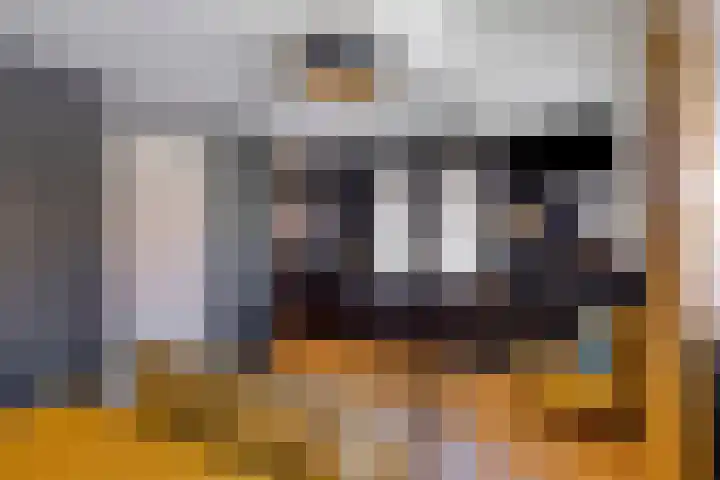 Planciusdreef 51 Bergschenhoek thumbnail 27