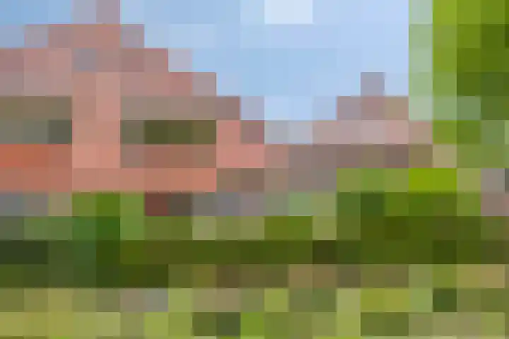 Planciusdreef 51 Bergschenhoek thumbnail 33