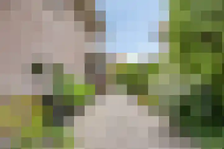 Planciusdreef 51 Bergschenhoek thumbnail 35