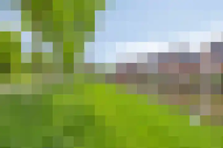 Planciusdreef 51 Bergschenhoek thumbnail 36