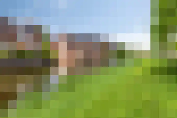 Planciusdreef 51 Bergschenhoek thumbnail 37