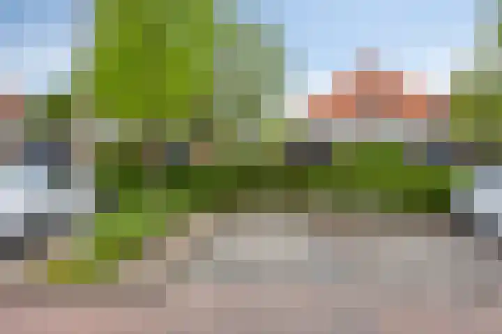 Planciusdreef 51 Bergschenhoek thumbnail 38