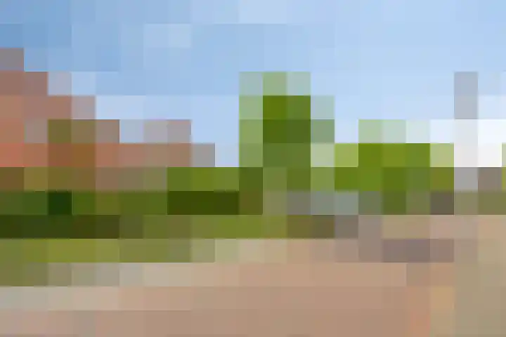 Planciusdreef 51 Bergschenhoek thumbnail 39