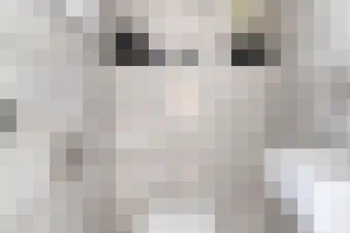 Planciusdreef 51 Bergschenhoek thumbnail 6
