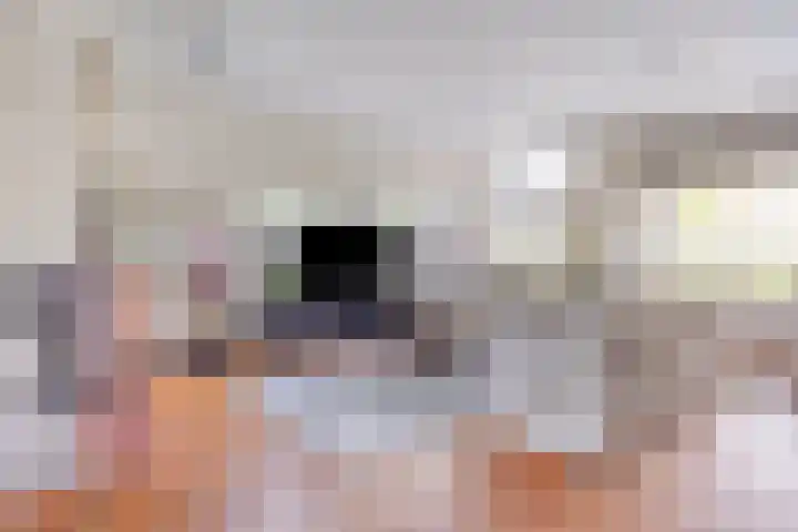 Planciusdreef 51 Bergschenhoek thumbnail 8