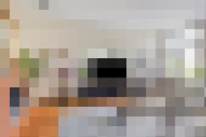 Planciusdreef 51 Bergschenhoek thumbnail 9