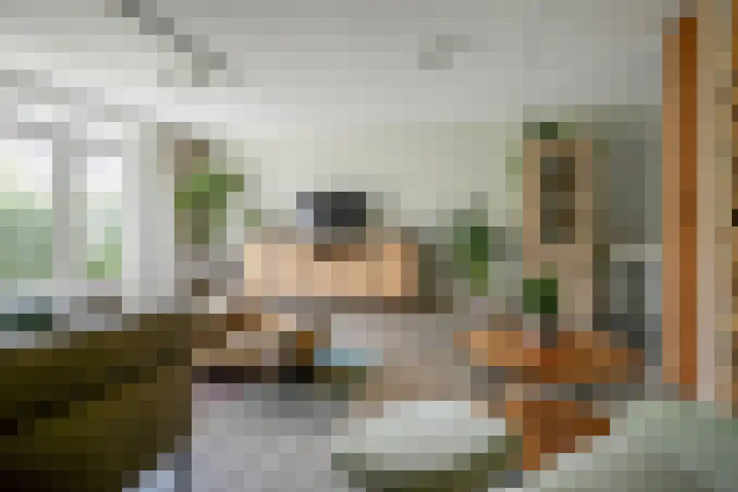 Planciusdreef 88 Bergschenhoek thumbnail 12
