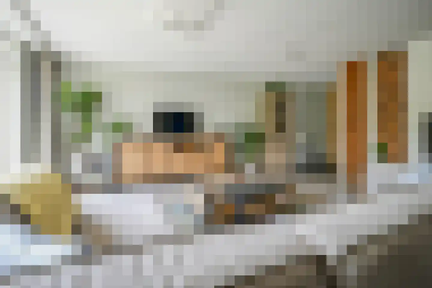 Planciusdreef 88 Bergschenhoek thumbnail 14