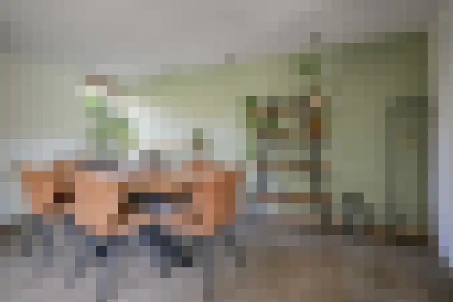 Planciusdreef 88 Bergschenhoek thumbnail 15