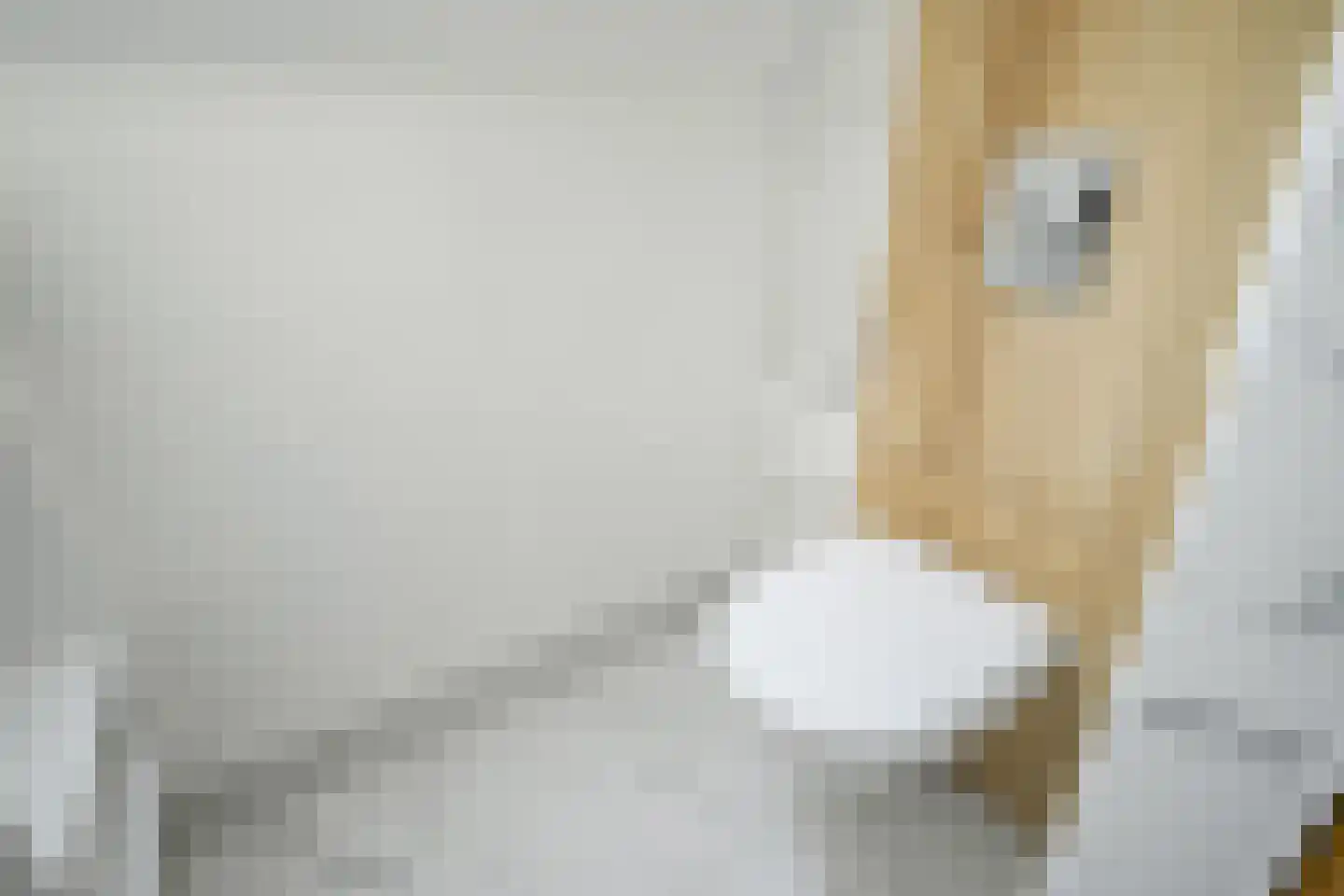 Planciusdreef 88 Bergschenhoek thumbnail 53