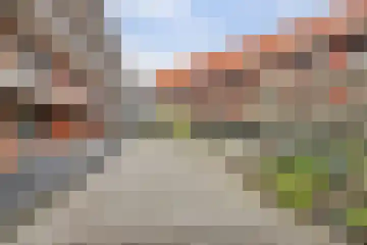 Planciushof 66 Hoek van Holland thumbnail 20