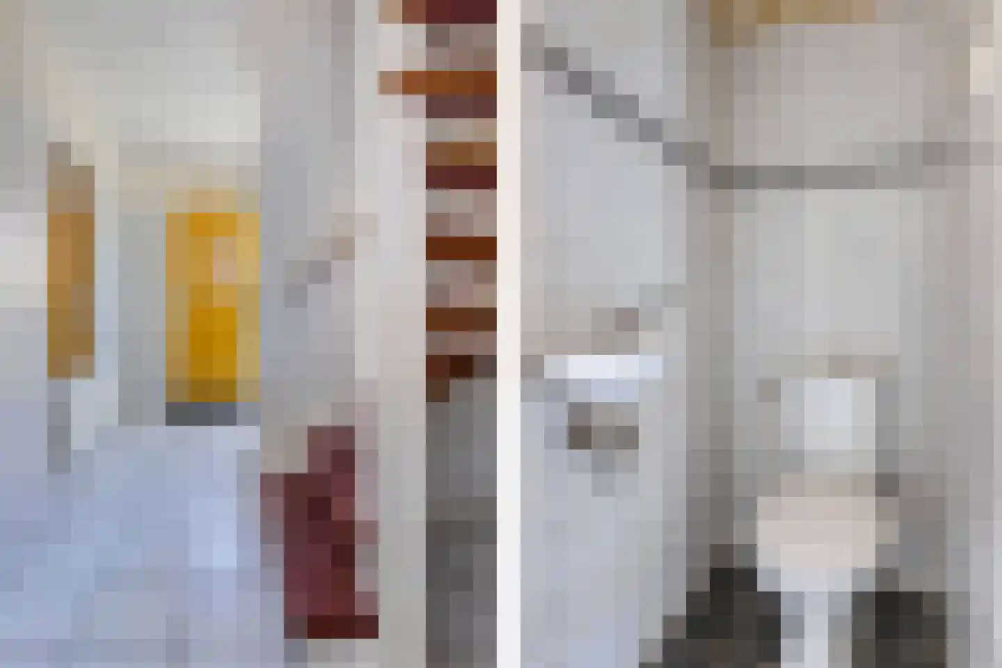 Planciuslaan 10 Gouda thumbnail 10