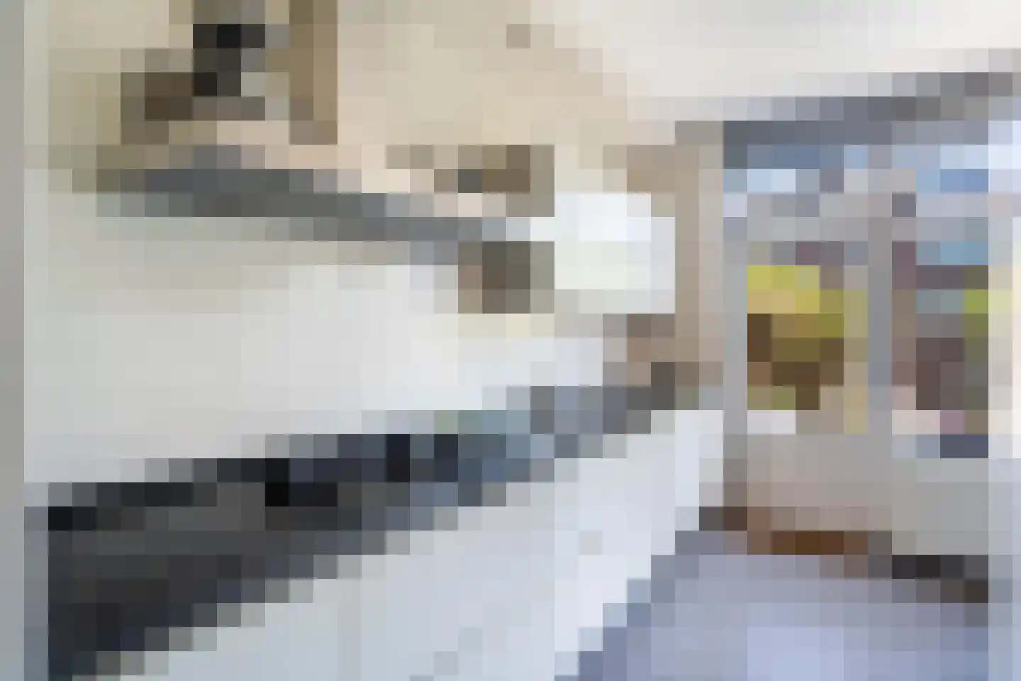 Planciuslaan 14 Gouda thumbnail 11