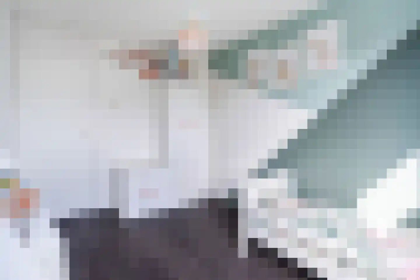 Planciuslaan 14 Gouda thumbnail 18